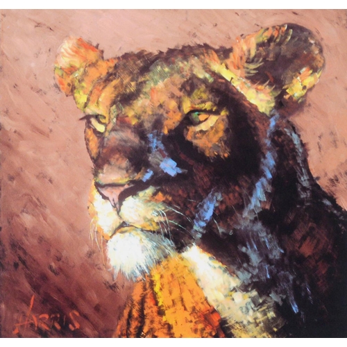 209 - ROLF HARRIS ARTIST SIGNED LIMITED EDITION COLOUR PRINT Lioness (170/195) no certificate 12” x 13” (3... 