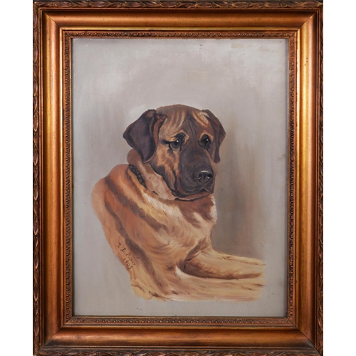 96 - L C POTTER (EARLY TWENTIETH CENTURY) OIL ON CANVAS Labrador Signed and dated 1909 17 ¾” x 13 ½” (45.... 