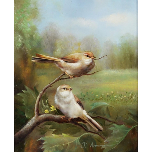 90 - J ARMANI (Modern) OIL PAINTING ON BOARD Two birds perched on a branch Signed lower right, labelled v... 