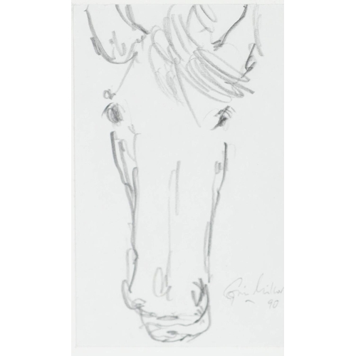 131 - UNIDENTIFIED ARTIST (Twentieth Century) PENCIL DRAWING Study of a Horse's HeadIndistinctly signed &a... 