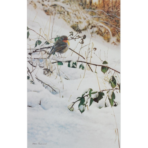 192 - STEVEN TOWNSEND ARTIST SIGNED LIMITED EDITION COLOUR PRINT Robin in snow Numbered 392/400 16