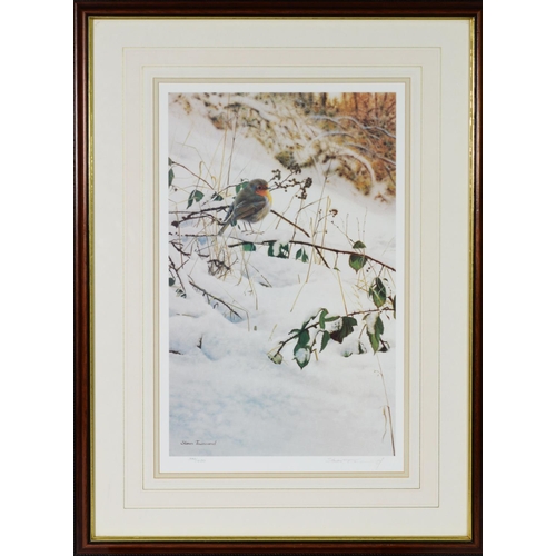 192 - STEVEN TOWNSEND ARTIST SIGNED LIMITED EDITION COLOUR PRINT Robin in snow Numbered 392/400 16