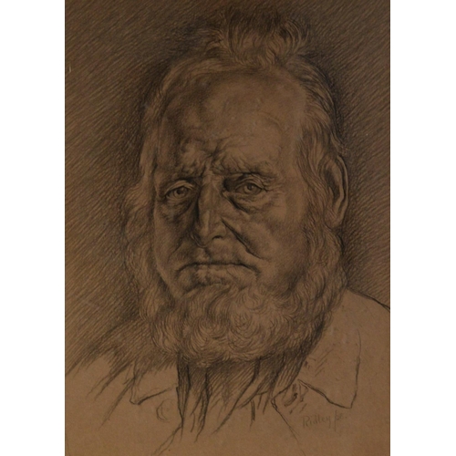 178 - EDWARD RIDLEY (1883 - 1946) PENCIL DRAWING ON BUFF PAPER Portrait of an elderly bearded man Signed a... 