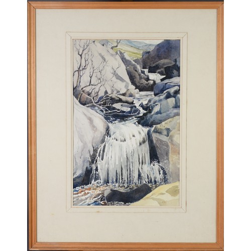 113 - ALBERT B OGDEN (b. 1928) WATERCOLOUR‘Waterfall, Watendlath’ Signed, tilted to label verso 19” x 12 ¼... 