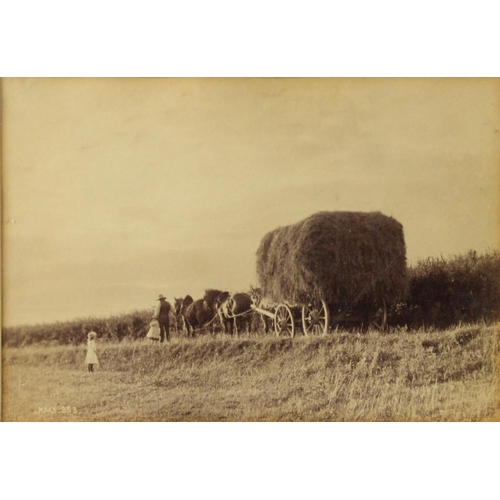 350 - FRANCIS MEADOW SUTCLIFFE TWO PHOTOGRAPHIC PRINTS, ONE of a Hay laden horse-drawn cart, the OTHER of ... 