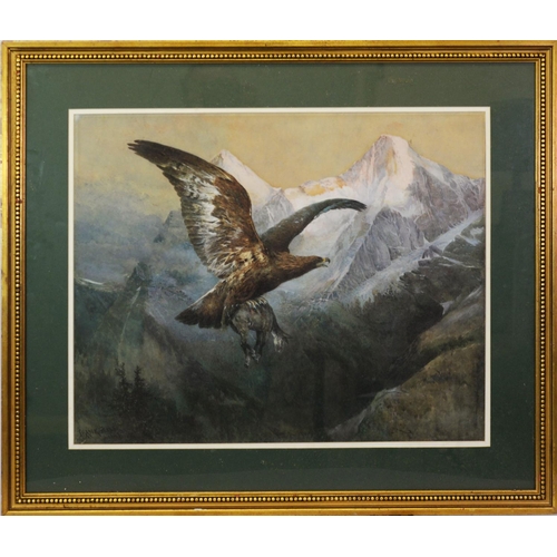 230 - FRANK FELLER (Swiss 1848-1908) WATERCOLOURAn eagle carrying its prey in the Swiss Alps, signed and d... 