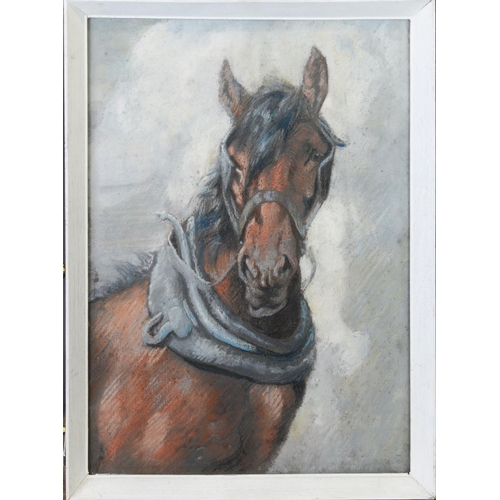 230 - F OLDNALL (EARLY TWENTIETH CENTURY) WATERCOLOUR Head study of two work hoses wearing collars and har... 