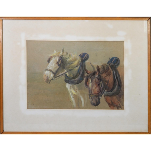 230 - F OLDNALL (EARLY TWENTIETH CENTURY) WATERCOLOUR Head study of two work hoses wearing collars and har... 