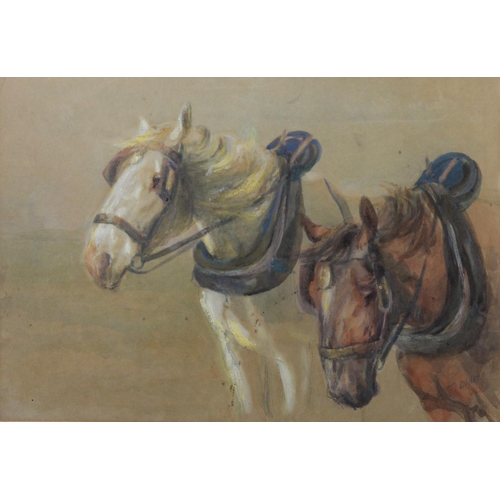 230 - F OLDNALL (EARLY TWENTIETH CENTURY) WATERCOLOUR Head study of two work hoses wearing collars and har... 