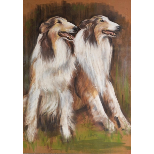 347 - MICHAEL G L FELIX (Twentieth Century) PASTEL DRAWING ON BUFF PAPER Study of two Collie Dogs Signed &... 