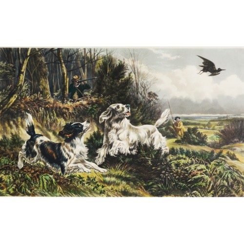 166 - AFTER BASIL BRADLEY, BY W SUMMERS PAIR OF COLOUR ENGRAVINGS‘Grouse Shooting’‘Woodcock Shooting’ 14 ½... 