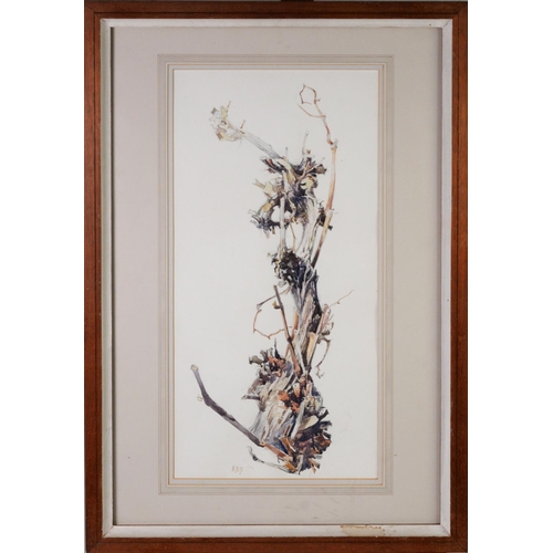 60 - ALBERT B. OGDEN (b. 1928) WATERCOLOUR ‘Vine Stock’ Initialled, titled to label verso 18” x 9” (45.8c... 