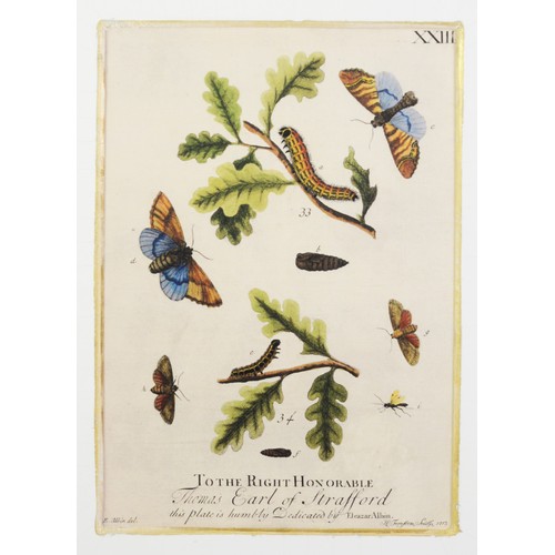 266 - SET OF FOUR REPRODUCTION CHROMOLITHOGRAPHS AFTER ELEZAR ALBIN, presented in chinoiserie lacquered fr... 