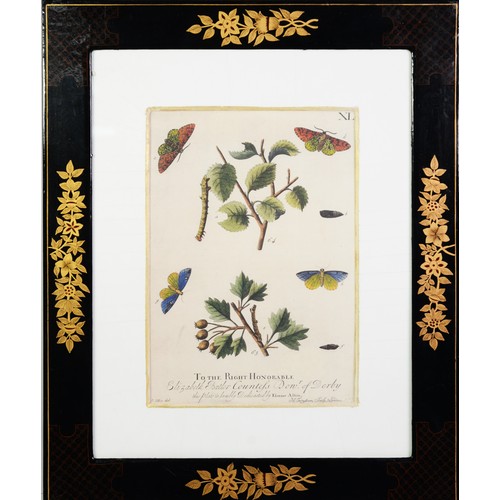 266 - SET OF FOUR REPRODUCTION CHROMOLITHOGRAPHS AFTER ELEZAR ALBIN, presented in chinoiserie lacquered fr... 