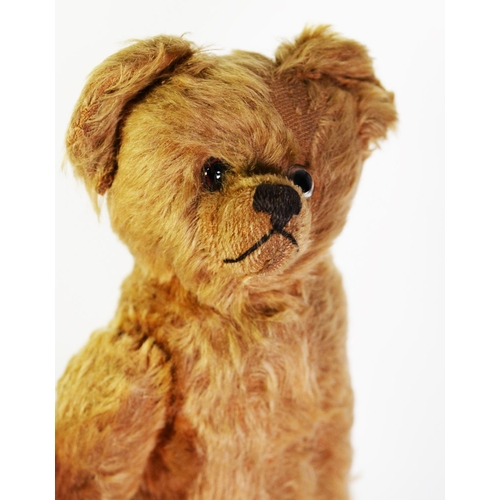 93 - INTER-WAR YEARS WOOD-STRAW FILLED GOLDEN PLUSH TEDDY BEAR, originally with GROWLER now inoperative, ... 