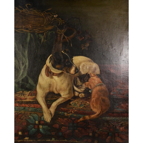 243 - LATE 19th/EARLY 20th CENTURY ENGLISH SCHOOL OIL PAINTING Terrier lying down with two kittens30in x 2... 