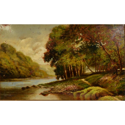 245 - 19th CENTURY ENGLISH SCHOOL PAIR OF OILS ON CANVAS Landscapes 15 1/2in x 24 1/2in (39.3 x 62.2cm)... 