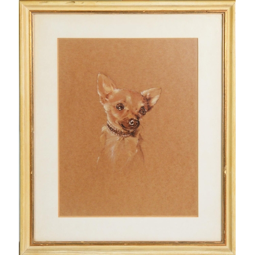 271 - MINNIE WILSON CHARCOAL DRAWING Head of a dog Signed 14 1/4in x 10 1/2in (36.1 x 26.6cm) and UNATTRIB... 