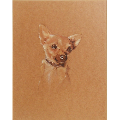 271 - MINNIE WILSON CHARCOAL DRAWING Head of a dog Signed 14 1/4in x 10 1/2in (36.1 x 26.6cm) and UNATTRIB... 