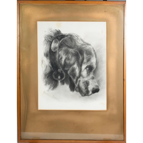 271 - MINNIE WILSON CHARCOAL DRAWING Head of a dog Signed 14 1/4in x 10 1/2in (36.1 x 26.6cm) and UNATTRIB... 