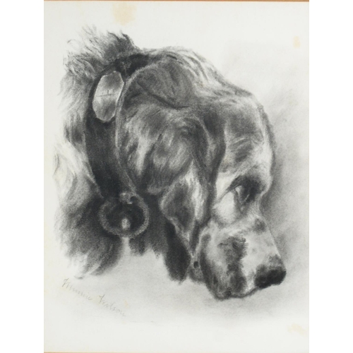 271 - MINNIE WILSON CHARCOAL DRAWING Head of a dog Signed 14 1/4in x 10 1/2in (36.1 x 26.6cm) and UNATTRIB... 