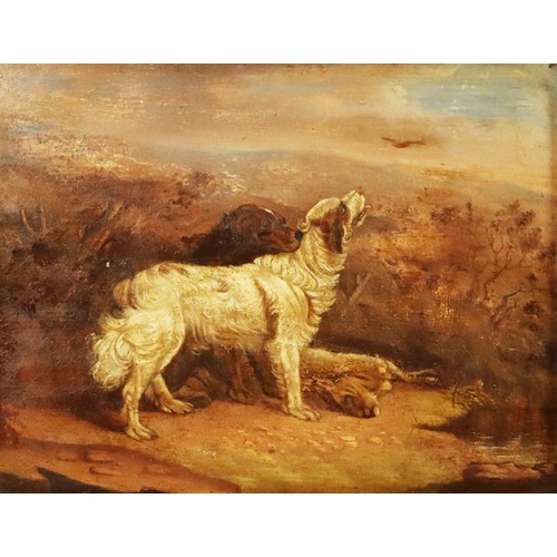 237 - BRITISH SCHOOL (Nineteenth Century) OIL PAINTING ON METAL Two gun dogs and dead hare in an upland la... 