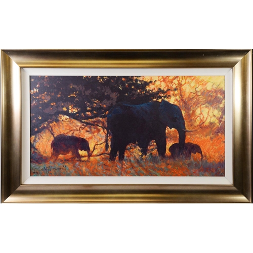 139 - ROLF HARRIS (1930-2023) ARTIST SIGNED LIMITED EDITION COLOUR PRINT ON CANVAS ‘Backlit Gold’ (158/195... 