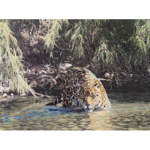 159 - SIMON COMBES TWO ARTIST SIGNED COLOUR PRINTS OF WILD CATS‘From the Shadows’, on canvas, with certifi... 