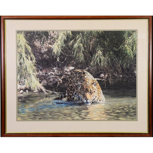 159 - SIMON COMBES TWO ARTIST SIGNED COLOUR PRINTS OF WILD CATS‘From the Shadows’, on canvas, with certifi... 