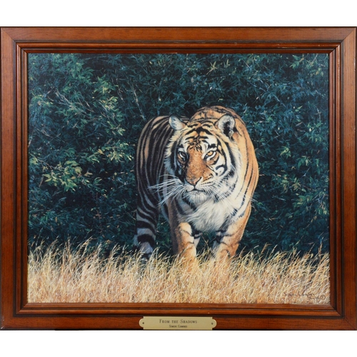 159 - SIMON COMBES TWO ARTIST SIGNED COLOUR PRINTS OF WILD CATS‘From the Shadows’, on canvas, with certifi... 