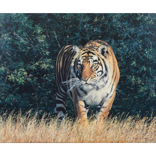 159 - SIMON COMBES TWO ARTIST SIGNED COLOUR PRINTS OF WILD CATS‘From the Shadows’, on canvas, with certifi... 