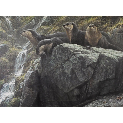 161 - THREE ARTIST SIGNED PRINTS OF ANIMALSROBERT BATEMAN‘On the Brink- River Otters’ (116/250)21 ½” x 28 ... 