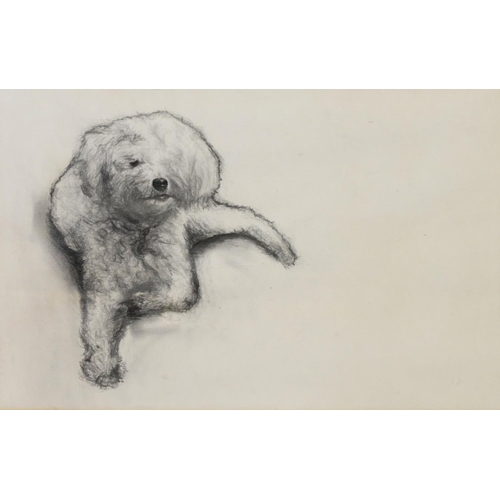 229 - UNATTRIBUTED (TWENTIETH CENTURY) PENCIL DRAWING Seated dog Unsigned 9 ½” x 14 ½” (24.1cm x 36.9cm)... 