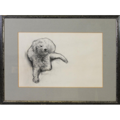 229 - UNATTRIBUTED (TWENTIETH CENTURY) PENCIL DRAWING Seated dog Unsigned 9 ½” x 14 ½” (24.1cm x 36.9cm)... 