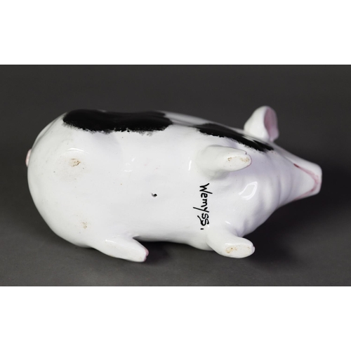 34 - WEMYSS POTTERY PIG, modelled with front legs raised, and painted with black patches and pink details... 