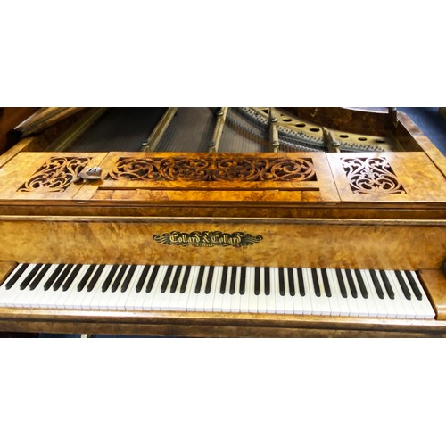 142 - COLLARD & COLLARD GRAND PIANOFORTE, on three octagonally panelled supports, numbered 89555