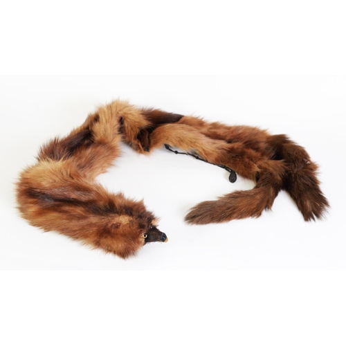 493 - MUSQUASH FUR STOLE OF THREE FULL PELTS, one head incorporating a plastic sprung clip fastener