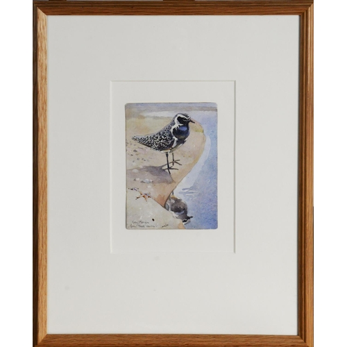 27 - ERIC ARNOLD ENNION (1900–1981)WATERCOLOUR, page from a sketch book‘Grey Plover’ at the water’s edge ... 