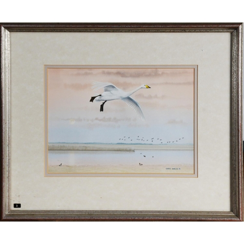 34 - CHRIS SHIELDS (TWENTIETH/ TWENTY FIRST CENTURY)WATERCOLOUR ‘Goose in Flight’ Signed lower right and ... 
