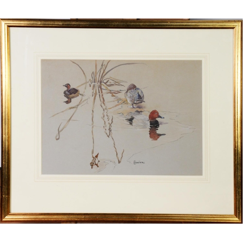 37 - ERIC ARNOLD ENNION (1900–1981) WATERCOLOUR ON GREY PAPERThree ducks on the water Signed lower right ... 