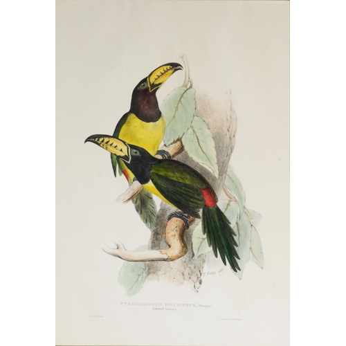 65 - EDWARD LEAR (1812-1880) <br />TWO ORIGINAL HAND COLOURED LITHOGRAPHS<br />Printed by C Hullmandel <b...