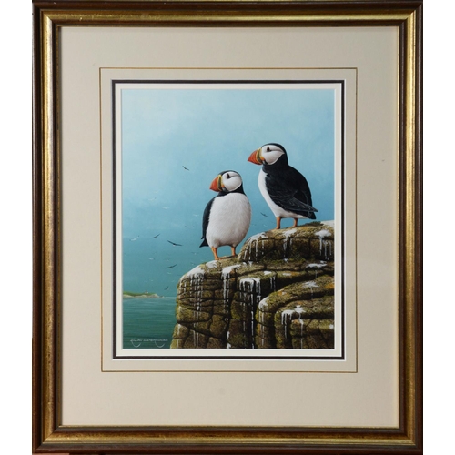 40 - RALPH WATERHOUSE (b.1943) GOUACHETwo puffins on a cliff top Signed lower right 11 ½” x 9 ¼” (29.2cm ... 