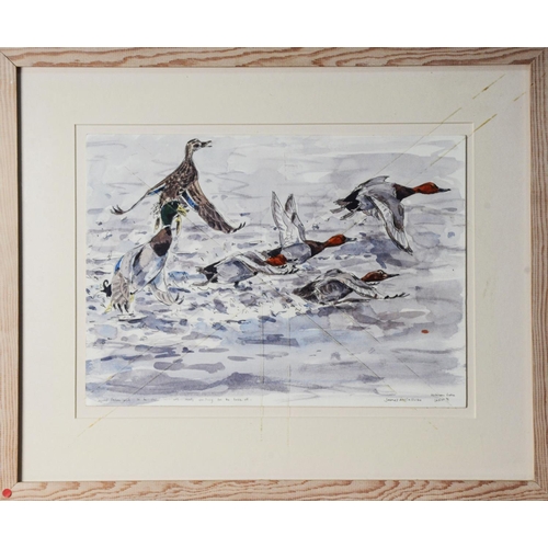 47 - JAMES McCULLUM (TWENTIETH/ TWENTY FIRST CENTURY)WATERCOLOURFive water fowl taking off at Holkham Lak... 