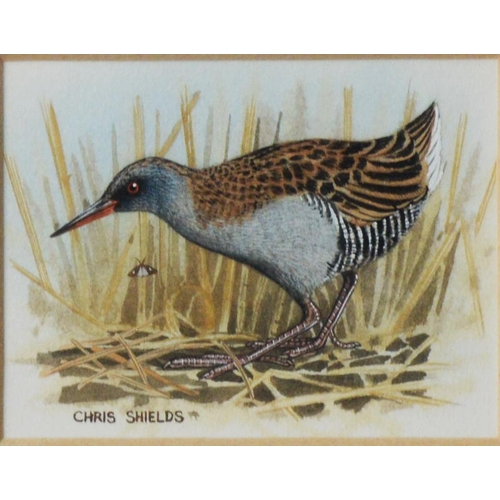 62 - CHRIS SHIELDS (TWENTIETH/ TWENTY FIRST CENTURY)<br />TWO WATERCOLOURS <br />Swallow in flight <br />...