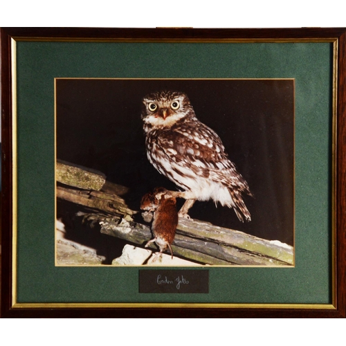 52 - GORDON YATES (TWENTIETH/ TWENTY FIRST CENTURY)SIX COLOUR PHOTOGRAPHIC PRINTS Barn owl with dead prey... 