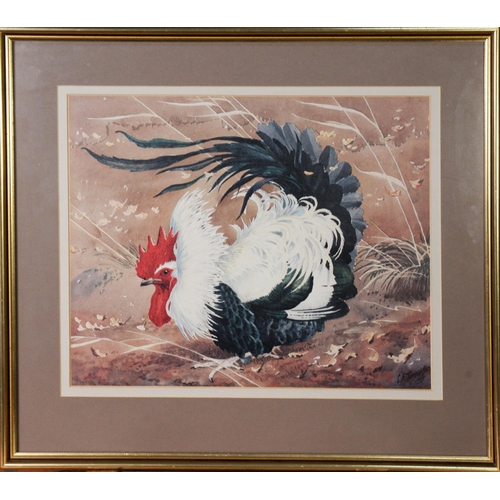 54 - AFTER CHARLES FREDERICK TUNNICLIFFE (1901-1979)COLOUR REPRODUCTION PRINT‘Cockerel’ Unsigned 13” x 16... 