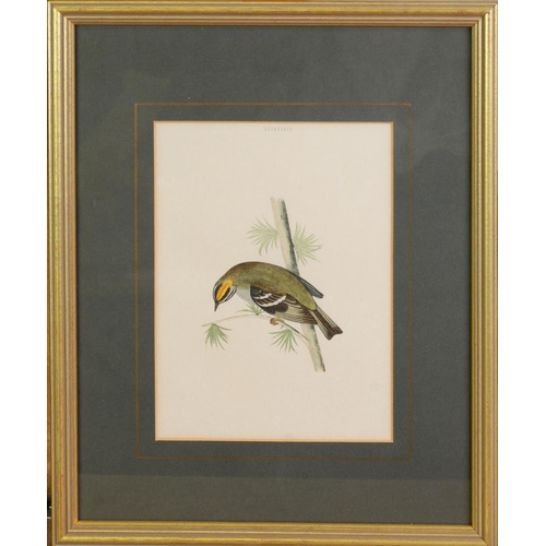 50 - RALPH WATERHOUSEARTIST SIGNED COLOUR PRINT Two gulls on nestSigned to the mount6 ¼” x 8 ¼” (15.9cm x... 