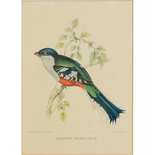 50 - RALPH WATERHOUSEARTIST SIGNED COLOUR PRINT Two gulls on nestSigned to the mount6 ¼” x 8 ¼” (15.9cm x... 