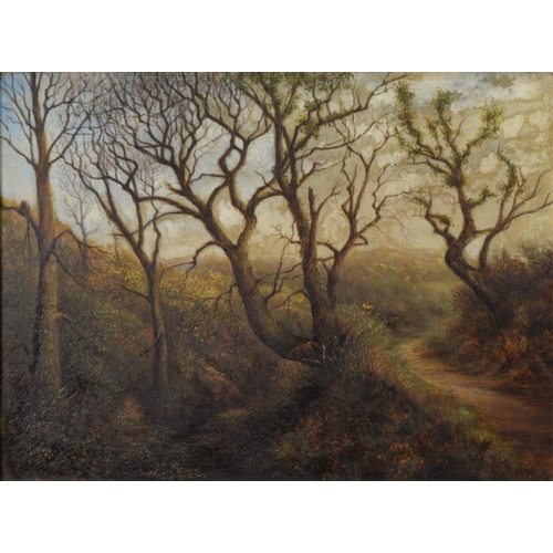 Lot 257       