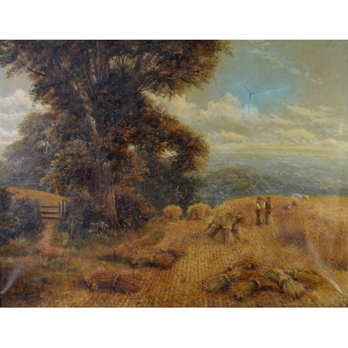 95 - CHARLES HENRY PASSEY (1818-1895)OIL ON CANVAS ‘A Cornfield, Shere, Surrey'Signed, titled verso 28” x... 